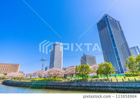 Yokohama cityscape in Japan, overlooking cherry blossoms in full bloom at Minato Mirai and Kishamichi, tower apartment buildings, etc. Yokohama cityscape in Japan, overlooking cherry blossoms in full bloom at Minato Mirai and Kishamichi, tower apartment buildings, etc. 113858984
