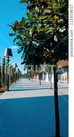 walkway in the park in sunny day walkway in the park in sunny day 113859017