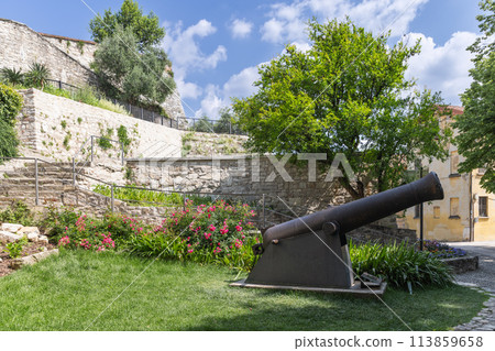 An ancient cannon in Brescia Castle stands amid lush greenery and blooming flowers 113859658