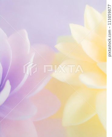 柔焦淡粉紅色花朵背景影像（AI 生成影像） 113859877