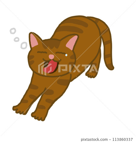 Cats yawning Cats yawning 113860337