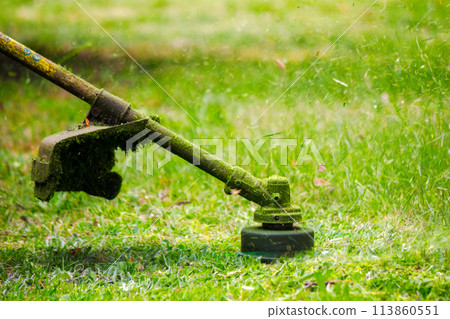 closeup of trimmer head cutting grass. professional lawn care background 113860551