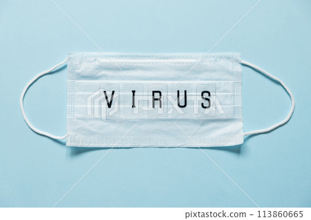 Distance learning, online education for kids. Little girl studying at home in front of the smartphone. Child watching online cartoons, kids computer addiction, parental control. Quarantine at home 113860665