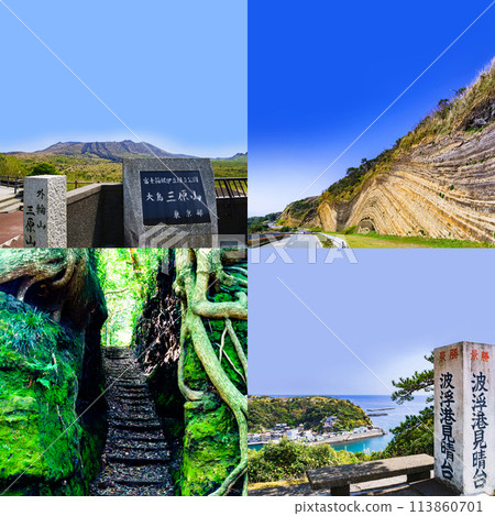 Izu Oshima Sightseeing Tour [Miharayama, Izumitsu Pass, Habu Port Observation Deck, Important Cross Section of Strata] 113860701