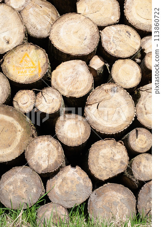 Pile of wood logs, closeup of clean cut of chopped firewood logs. Natural wooden background Pile of wood logs, closeup of clean cut of chopped firewood logs. Natural wooden background 113860722