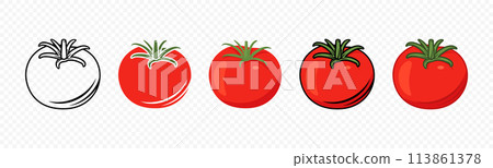 Flat Vector Fresh Tomato Icon Set Isolated. Whole Tomato Design Template. Organic Tomato, Front View Flat Vector Fresh Tomato Icon Set Isolated. Whole Tomato Design Template. Organic Tomato, Front View 113861378