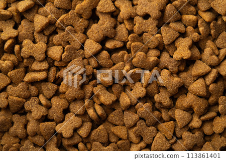 Dry dog food pellets for background 113861401