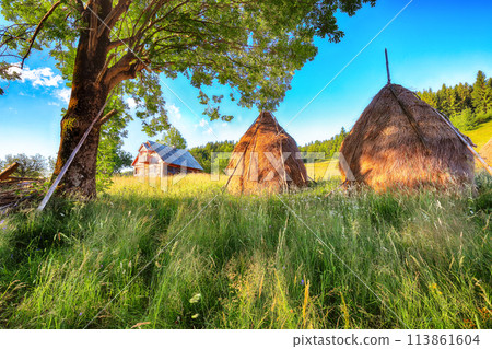 Amazing countryside landscape of romanian village Rogojel with forested hills and haystacks on a grassy rural field in mountains Amazing countryside landscape of romanian village Rogojel with forested hills and haystacks on a grassy rural field in mountains 113861604