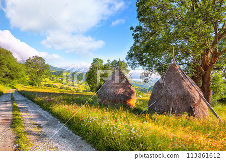 Amazing countryside landscape of romanian village Rogojel with forested hills and haystacks on a grassy rural field in mountains 113861612