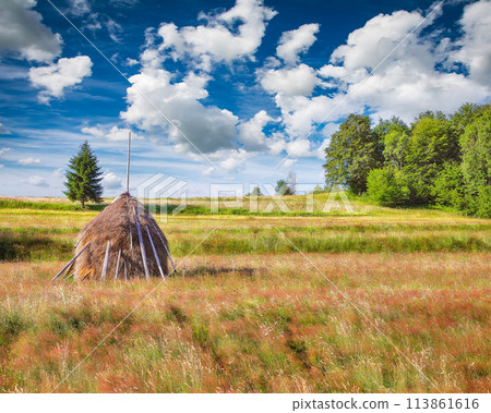 Amazing countryside landscape of romanian village Rogojel with forested hills and haystacks on a grassy rural field in mountains Amazing countryside landscape of romanian village Rogojel with forested hills and haystacks on a grassy rural field in mountains 113861616