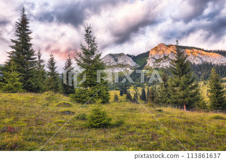 Amazing view of Pietrele Albe mountaine peak at summer time. 113861637
