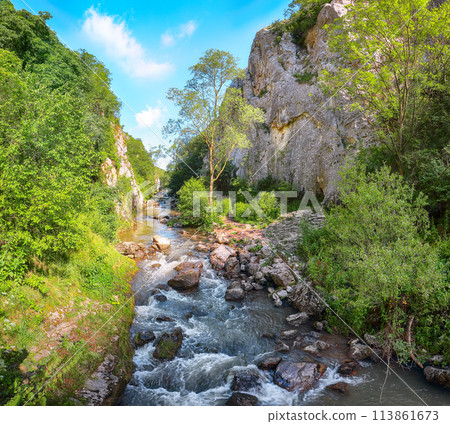 Amazing view of Turda Gorge (Cheile Turzii) natural reserve with marked trails for hikes on Hasdate river. Amazing view of Turda Gorge (Cheile Turzii) natural reserve with marked trails for hikes on Hasdate river. 113861673