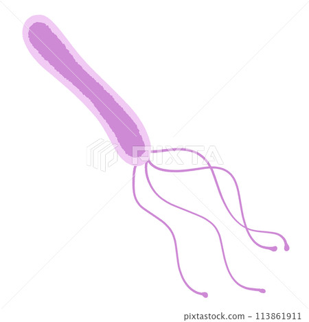 Helicobacter pylori illustration Helicobacter pylori illustration 113861911