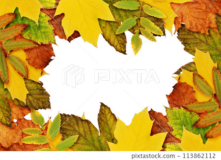 Autumn frame with dried leaves in yellow, orange and green colors isolated on white 113862112