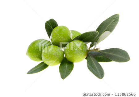 sprig with green olives isolated 113862566