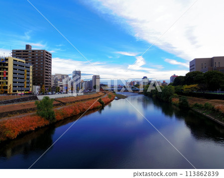 熊本縣熊本市的街道 113862839