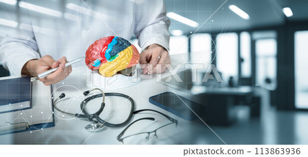 Doctor showing brain functions in office. 113863936