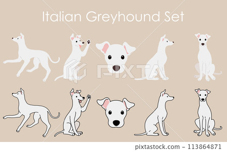簡單可愛的白色義大利灰狗插畫集 簡單可愛的白色義大利灰狗插畫集 113864871