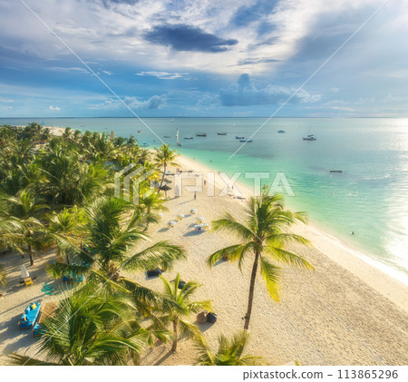 Aerial view of sandy beach with palm trees, umbrellas, boats, sea 113865296