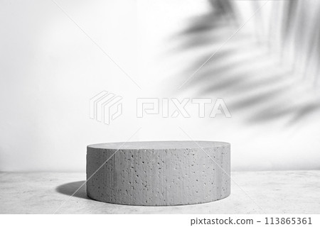 Concrete podium and palm leaf shadow 113865361