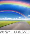 兩條美麗的彩虹掛在藍天和白雲上的插圖。 113865599