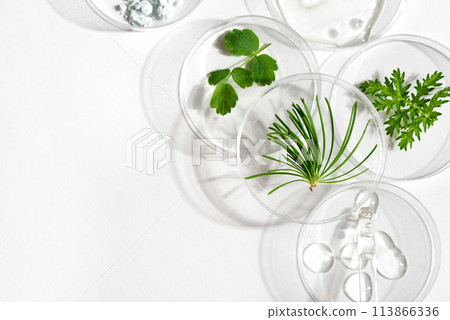 Petri dishes with plants and gel swatches 113866336