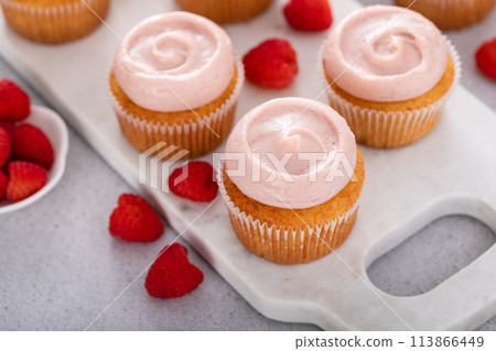 Raspberry cupcakes with swirled raspberry frosting 113866449