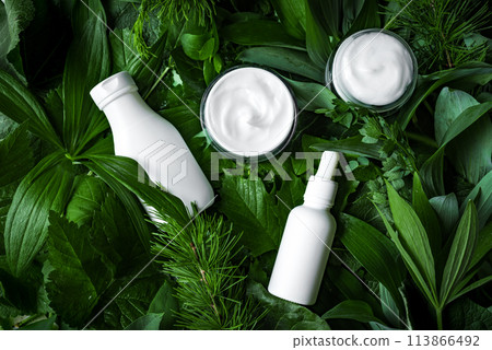 Organic skin care products on green leaves 113866492