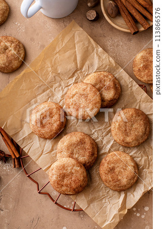 Homemade snickerdoodle cookies on parchment paper 113866576