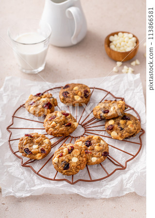 Cranberry and white chocolate cookies on a cooling rack Cranberry and white chocolate cookies on a cooling rack 113866581