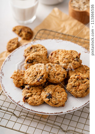 Healthy breakfast cookies with oats and dry cranberry 113866586