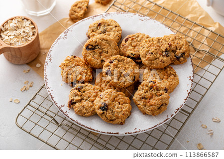 Healthy breakfast cookies with oats and dry cranberry 113866587