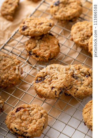 Healthy breakfast cookies with oats and dry cranberry 113866588