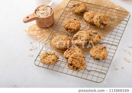 Healthy breakfast cookies with oats and dry cranberry Healthy breakfast cookies with oats and dry cranberry 113866589