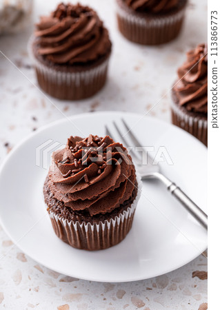 Chocolate cupcakes topped with whipped chocolate ganache Chocolate cupcakes topped with whipped chocolate ganache 113866773