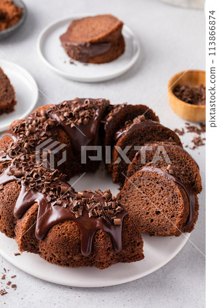 Chocolate bundt cake with chocolate ganache icing 113866874