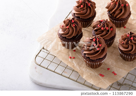 Dark chocolate cupcakes with chocolate ganache frosting Dark chocolate cupcakes with chocolate ganache frosting 113867290