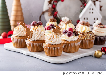 Variety of Christmas cupcakes with gingerbread, sugared cranberry and candied pecans 113867925