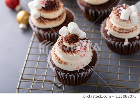 Hot chocolate cupcakes with mini marshmallows, peppermint candy pieces and cocoa 113868075