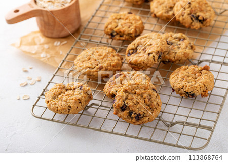 Healthy breakfast cookies with oatmeal, pecans and cranberry 113868764