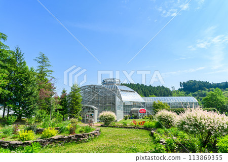 沐浴在美麗自然陽光下的犬柳和庭園風景(旅遊勝地-玫瑰園風景)(花麻美)) 沐浴在美麗自然陽光下的犬柳和庭園風景(旅遊勝地-玫瑰園風景)(花麻美)) 113869355