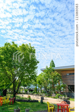 A garden table bathed in beautiful natural light and fresh greenery (Tourist spot: Rose garden) (Hanaasobi) 113869363
