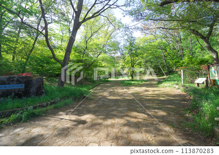 新綠狹山丘陵的東大和公園前廣場 113870283