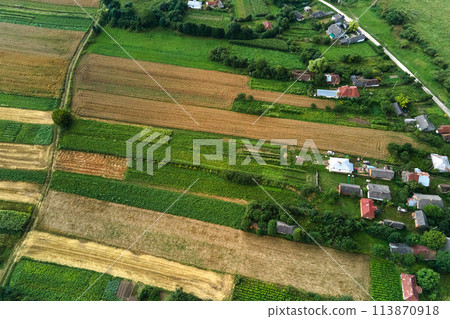 Aerial landscape view of village houses and distant green cultivated agricultural fields with growing crops on bright summer day 113870918