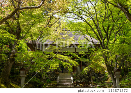 The Niomon Gate of Jojakkoji Temple in Arashiyama, Kyoto 113871272