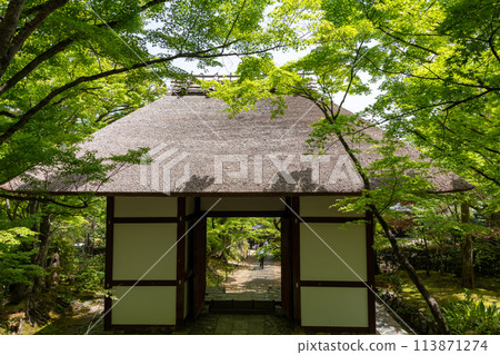 The Niomon Gate of Jojakkoji Temple in Arashiyama, Kyoto 113871274