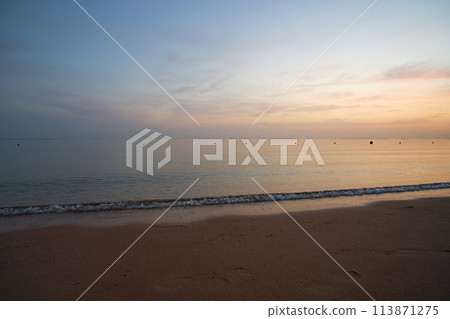 Calm sea shore with crushing waves on sandy beach at sunrise. 113871275