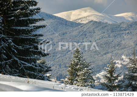 Winter landscape with high mountain hills covered with evergreen pine forest after heavy snowfall on cold wintry day. Winter landscape with high mountain hills covered with evergreen pine forest after heavy snowfall on cold wintry day. 113871429