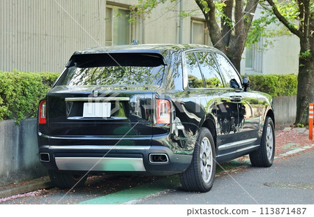 Rolls Royce Cullinan 113871487