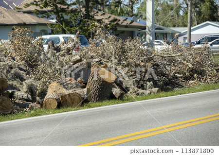 Broken tree limbs and branches on roadside from hurricane wind in Florida residential area. Aftermath of natural disaster 113871800